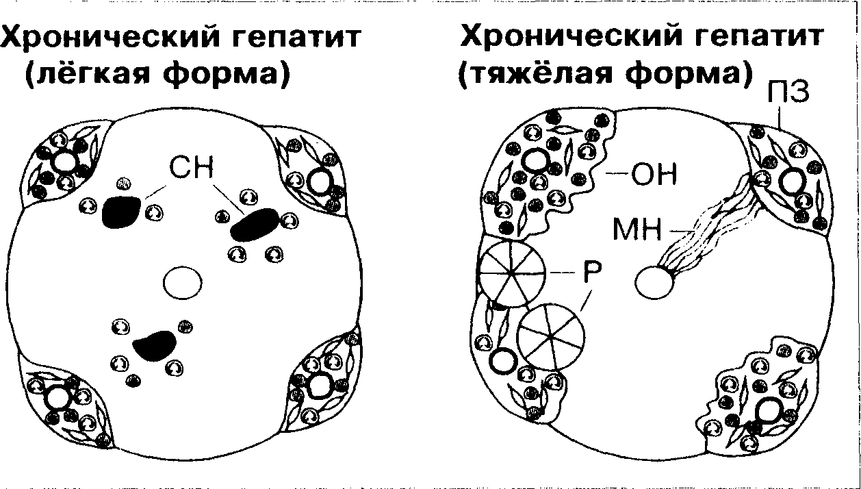 схема