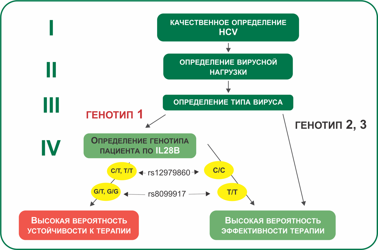 схема генотипов