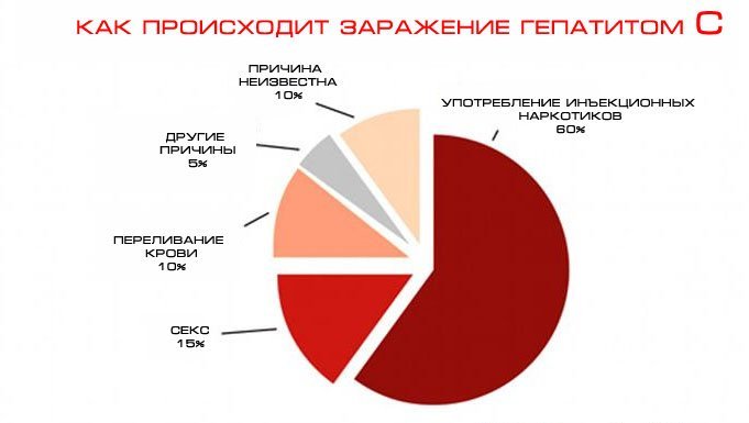 куски круга