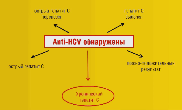схема анализов виды анализов на гепатит С