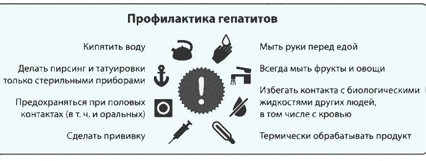 регенерации печени после гепатита С