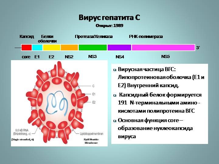 Ремиссия при хроническом гепатите С