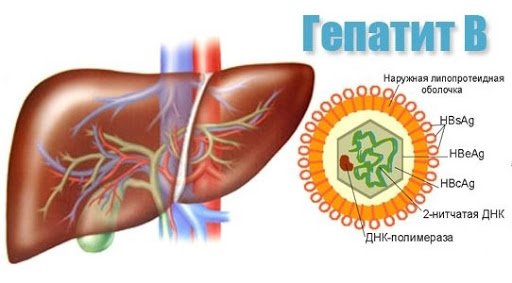 что такое гепатит В